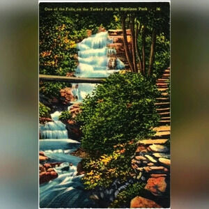 ONE OF THE FALLS ON THE TURKEY PATH IN HARRISON PARK- Vintage Postcard